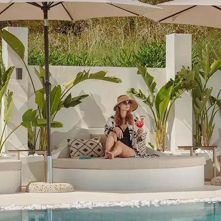 Ampelia Kassandra ハニオティス