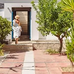 Ampelia Kassandra هانيوتي