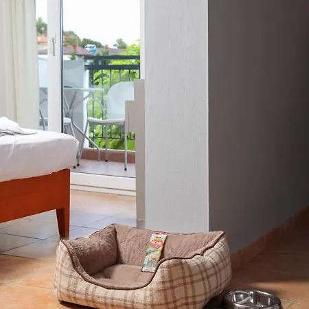 Aparthotel Ampelia Kassandra 3*