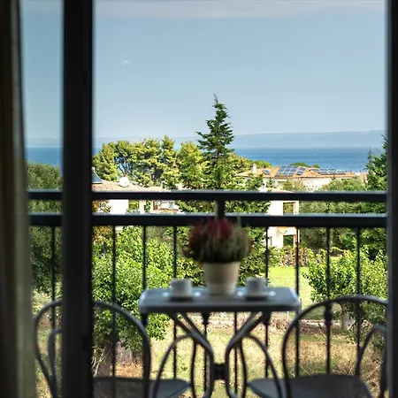 Ampelia Kassandra Chaniotis