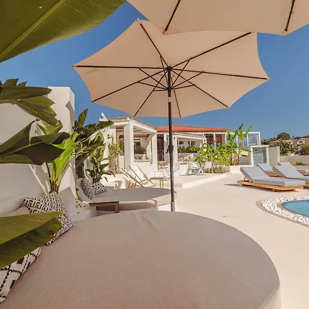 Ampelia Kassandra Chaniotis