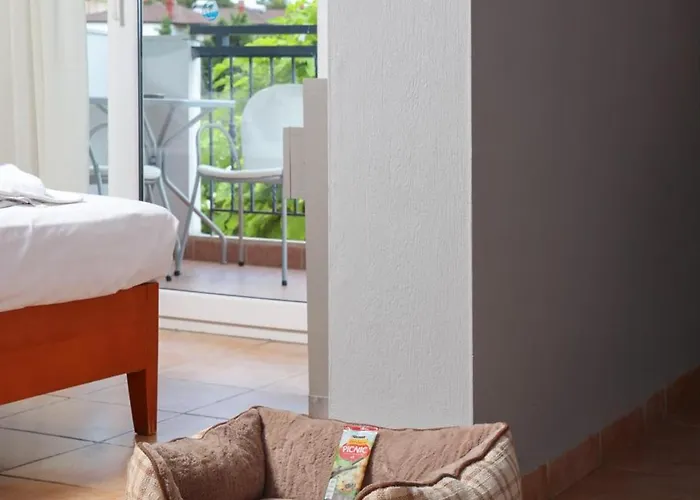 Aparthotel Ampelia Kassandra 3*